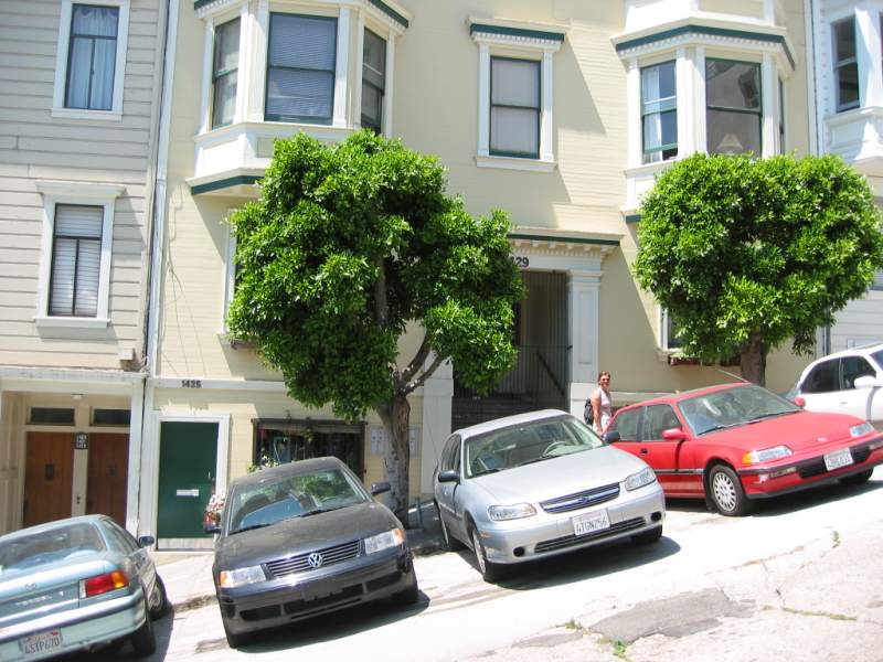 <i><b>509-San Francisco</b></i>